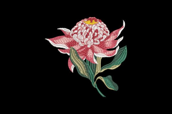 Blossom of Fire Embroidery Review