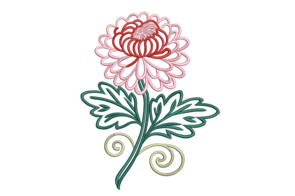 Chrysanthemum Flourish Review