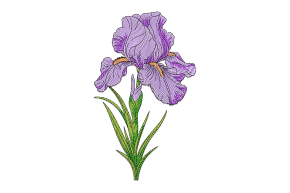 Purple Iris Embroidery Design